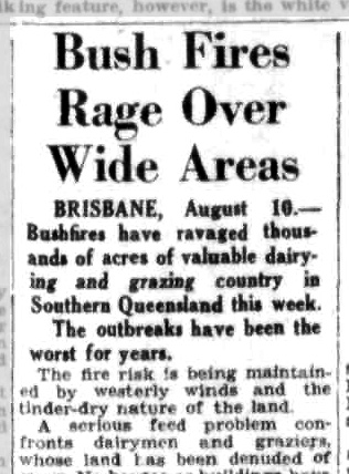 Bushfire, Queensland, 1951, News