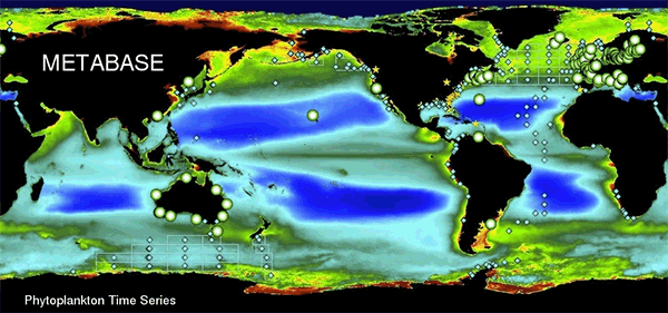 Map, Phytoplankton, Global. 